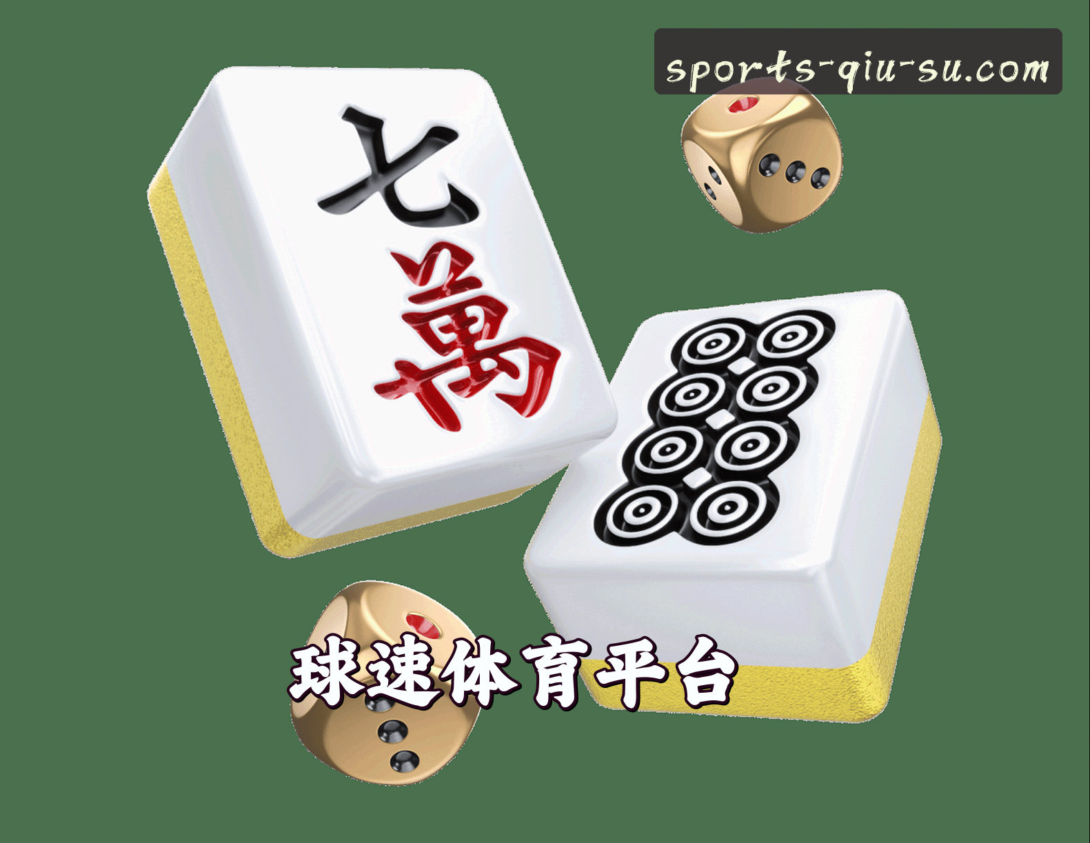关于我们信息